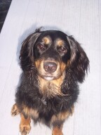 Jack's sitting pretty